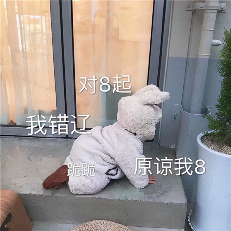 表情包：我知道错了的表情