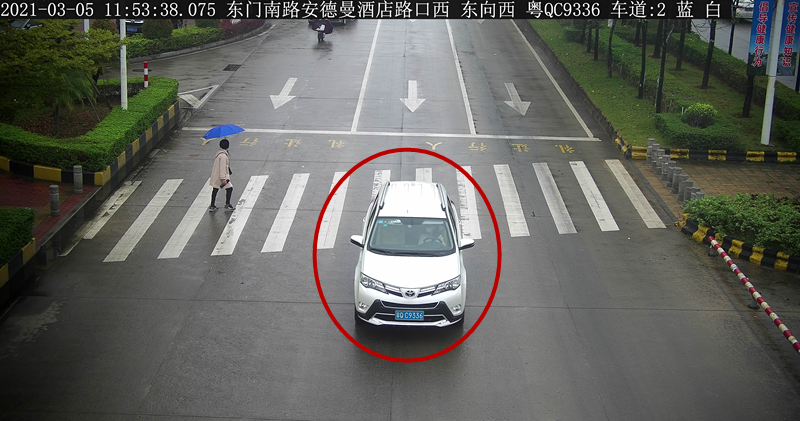 交通违法曝光！