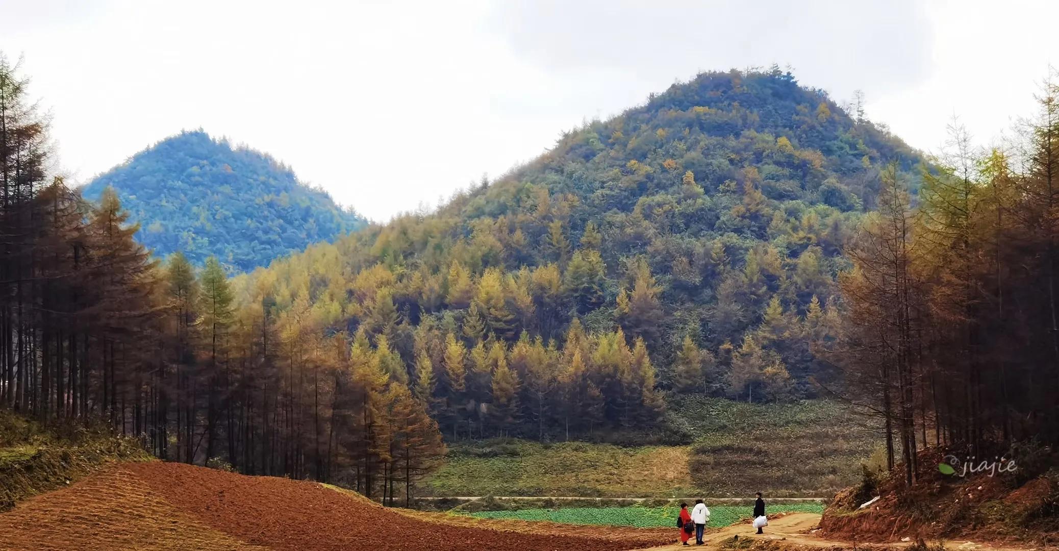 大山深处，最美秋天