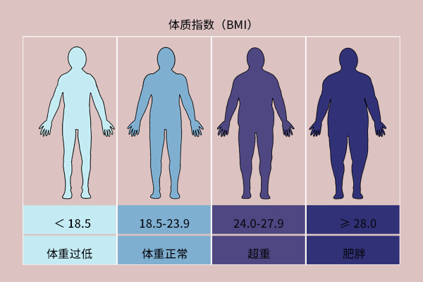 女孩标准身高体重对照表