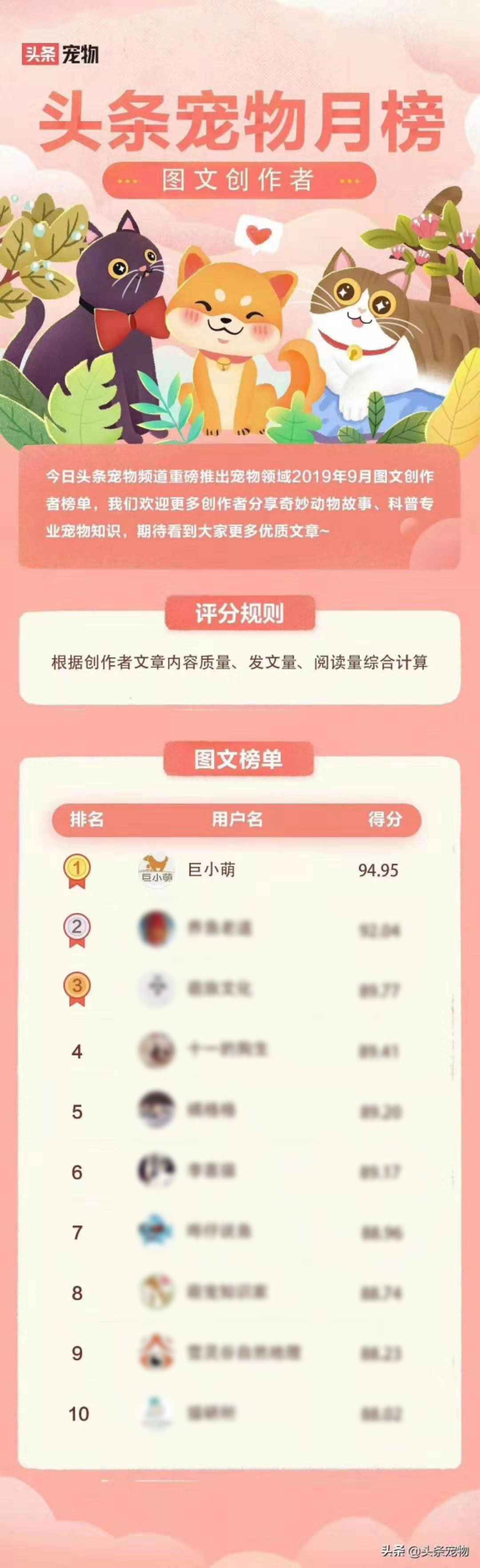 单月28次青云奖励+登顶头条宠物榜：巨小萌2019感谢有你