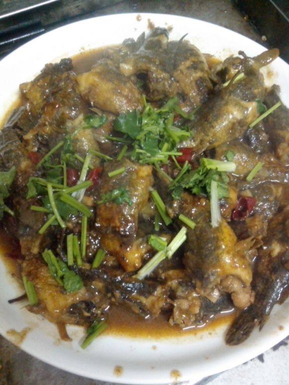 东北高校人工湖里"老头鱼"泛滥,有人捉了许多,网友:有口福了