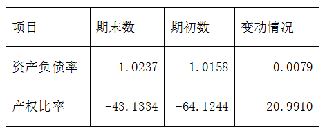 财务报表分析模板（三大报表细节分析）完整版