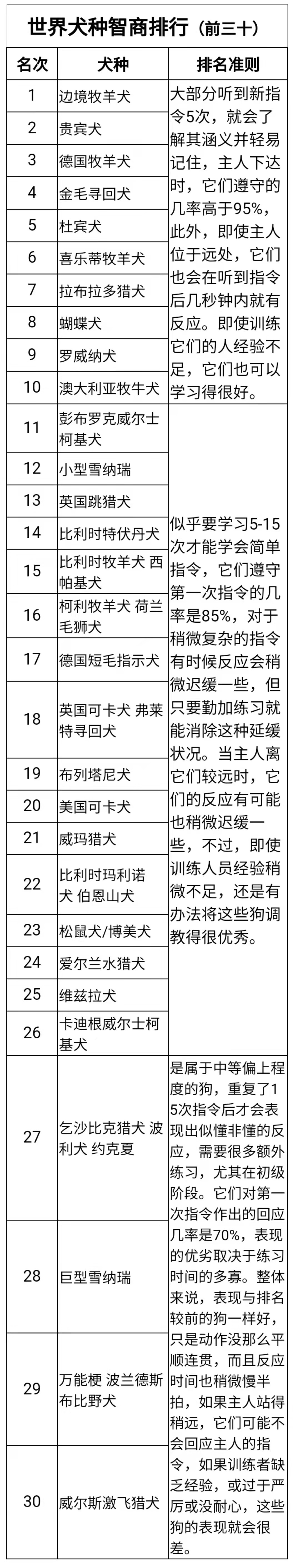 世界犬种智商排名榜前 30 名的聪明狗狗