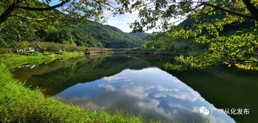 广州市从化旅游景点大全排名（广东十大最美森林旅游地）