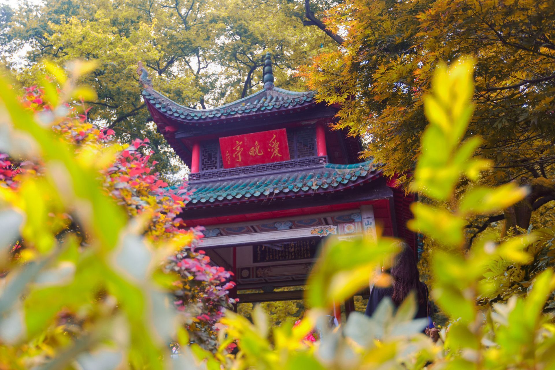 长沙两日游攻略丨人均500丨适合学生党情侣的放肆计划