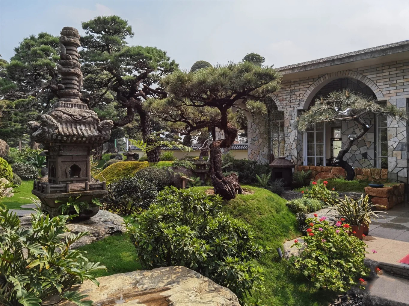 一棵松,美了一个院子