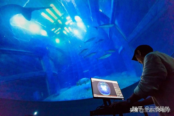 「赴日留学」设有摄影专业的大学（学部）