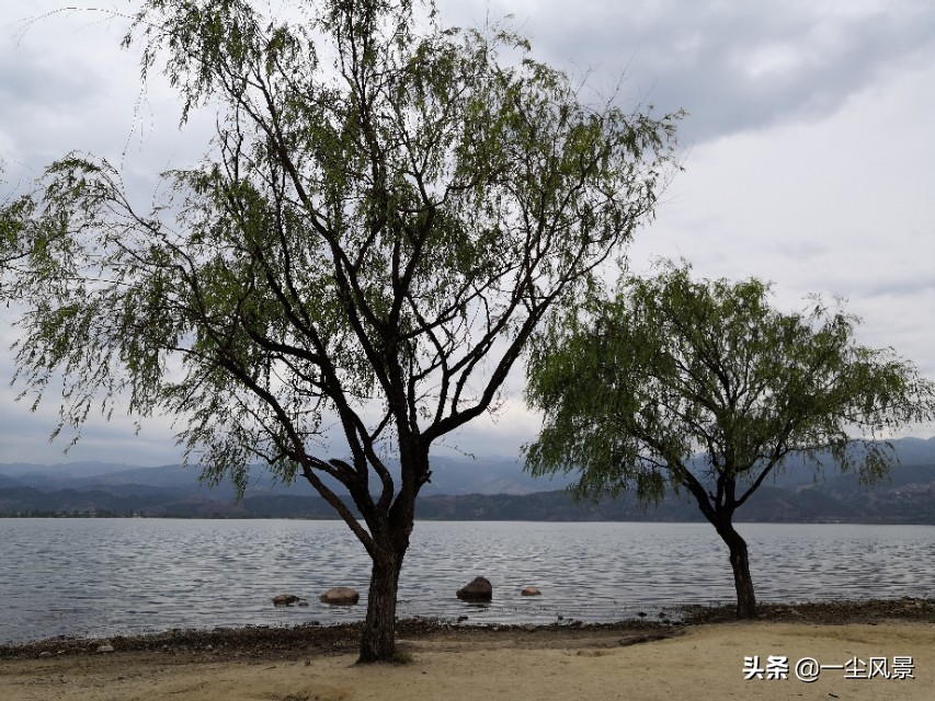 三行名句《琵琶行》，道尽人生真意境