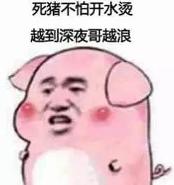 关于猪的卡通表情包：乖巧的像只小猪仔