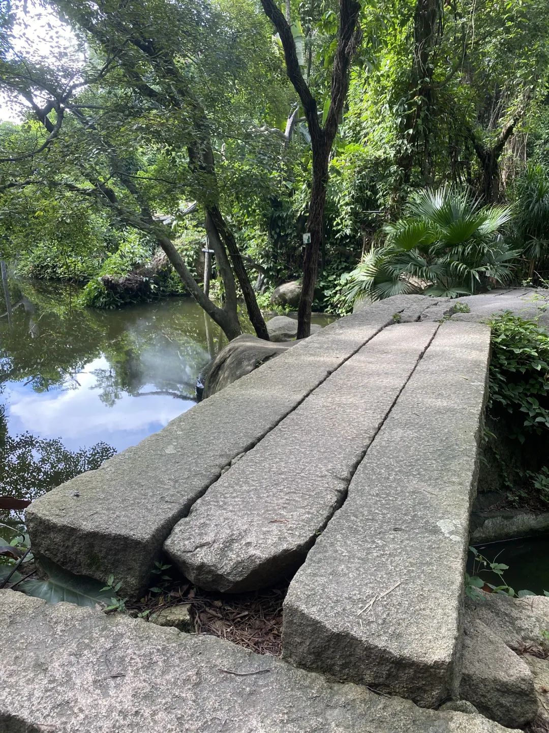 紫雲巖風景景點介紹(紫雲巖作文範文) _力貝號