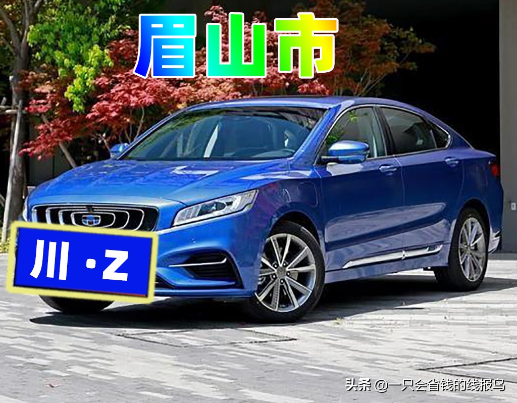 å››å·�çœ�æ±½è½¦ç‰Œç…§å&shy;—æ¯�æ�’åº�