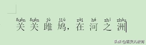 wps怎么打上logo(WPS怎么在中文上面加拼音标注)