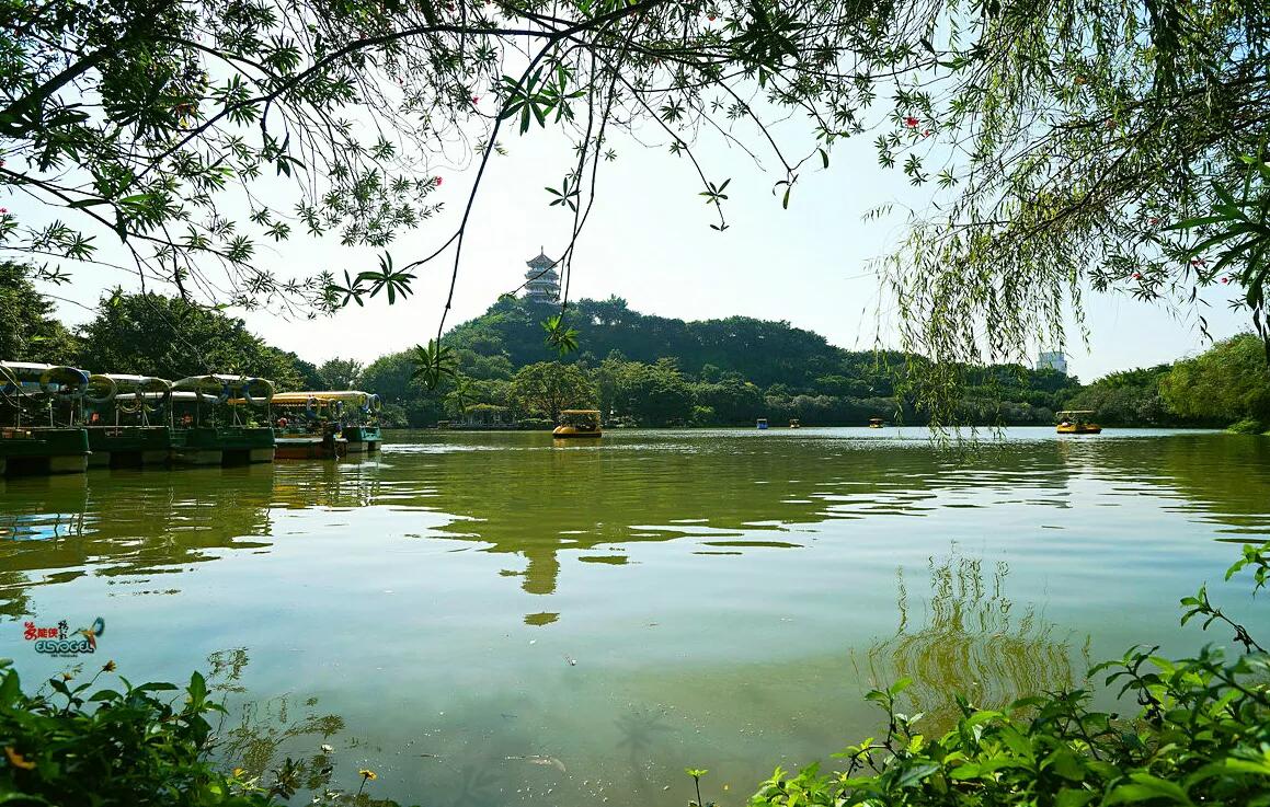 中山小欖附近旅遊景點(中山9大免費公園) - 悅聞天下