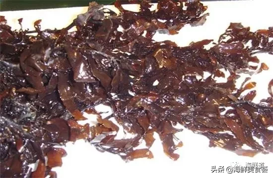 市场常见的102种海鲜，肉质鲜美，营养丰富，你们吃过几种？