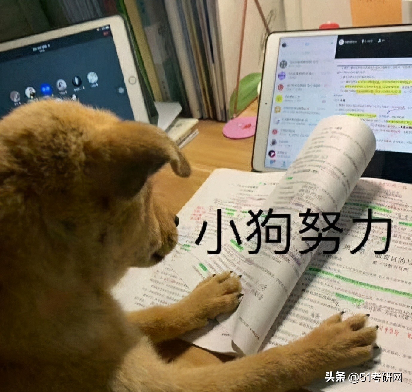 22考研时间定了！众多高校已发布招简，初试科目大改最新整理