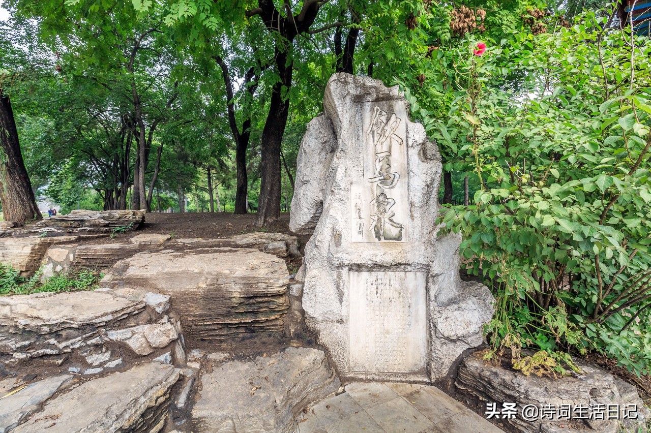 半部论语治天下