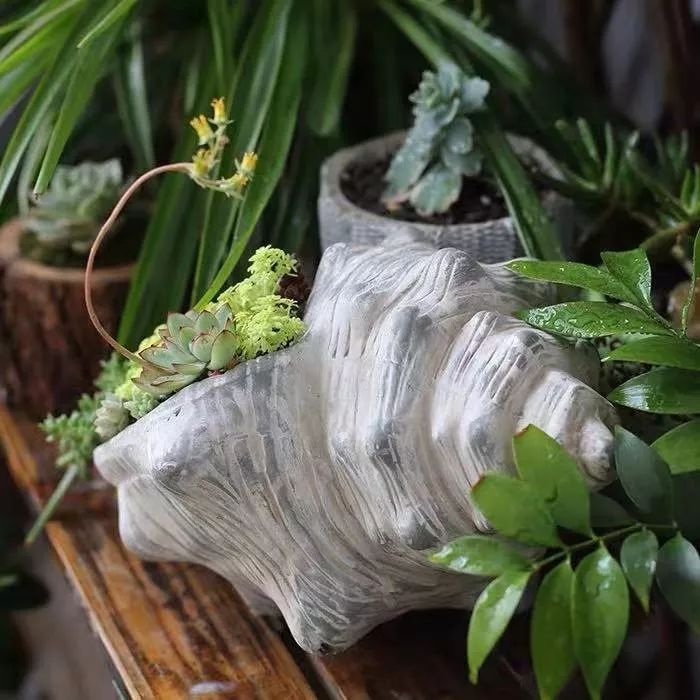 菜叶发黄是什么原因怎么防治（植物叶子发黄的七个原因）