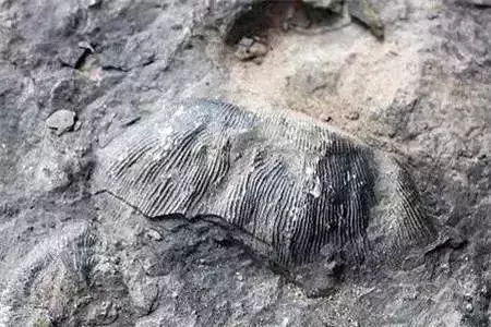 还有9天，贵州人集体放假！85个度假胜地马上安排！