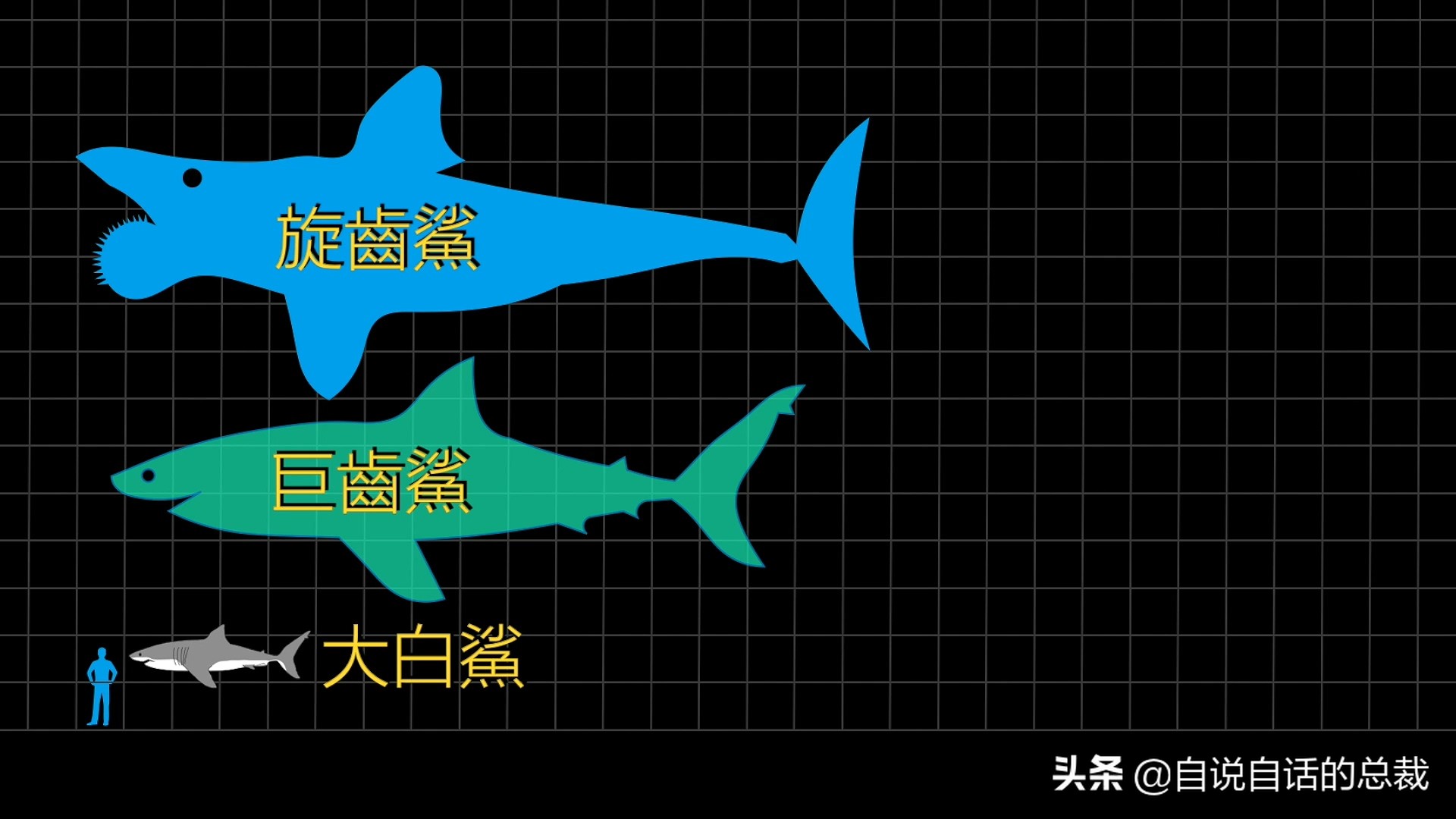 5种比巨齿鲨还恐怖的海怪，背后隐藏着一个人类起源的故事