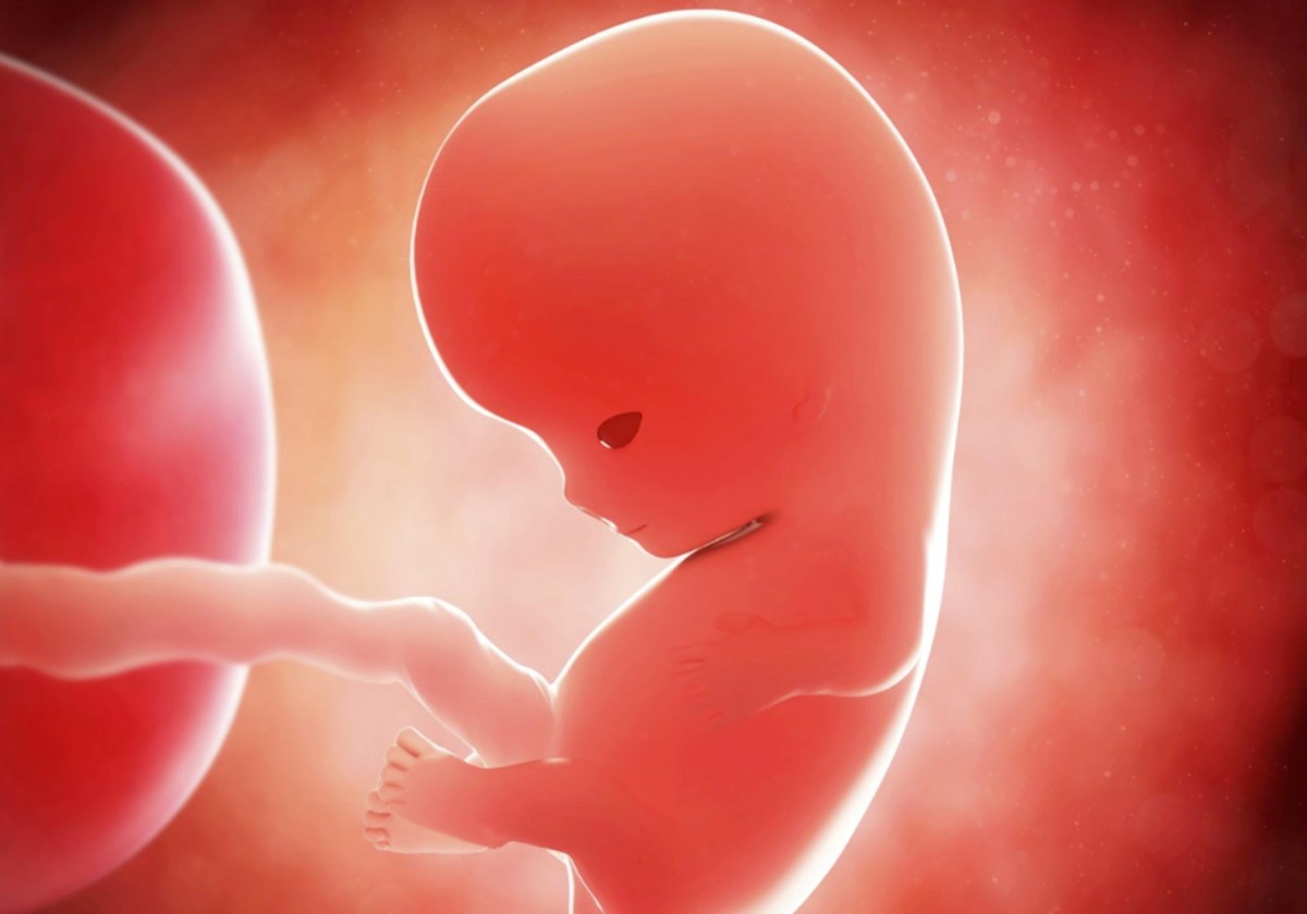 孕妇能不能吃泡面 孕妇吃泡面对胎儿有什么影响