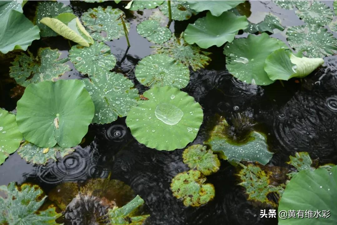 用一杯咖啡的时间，领悟自然之美