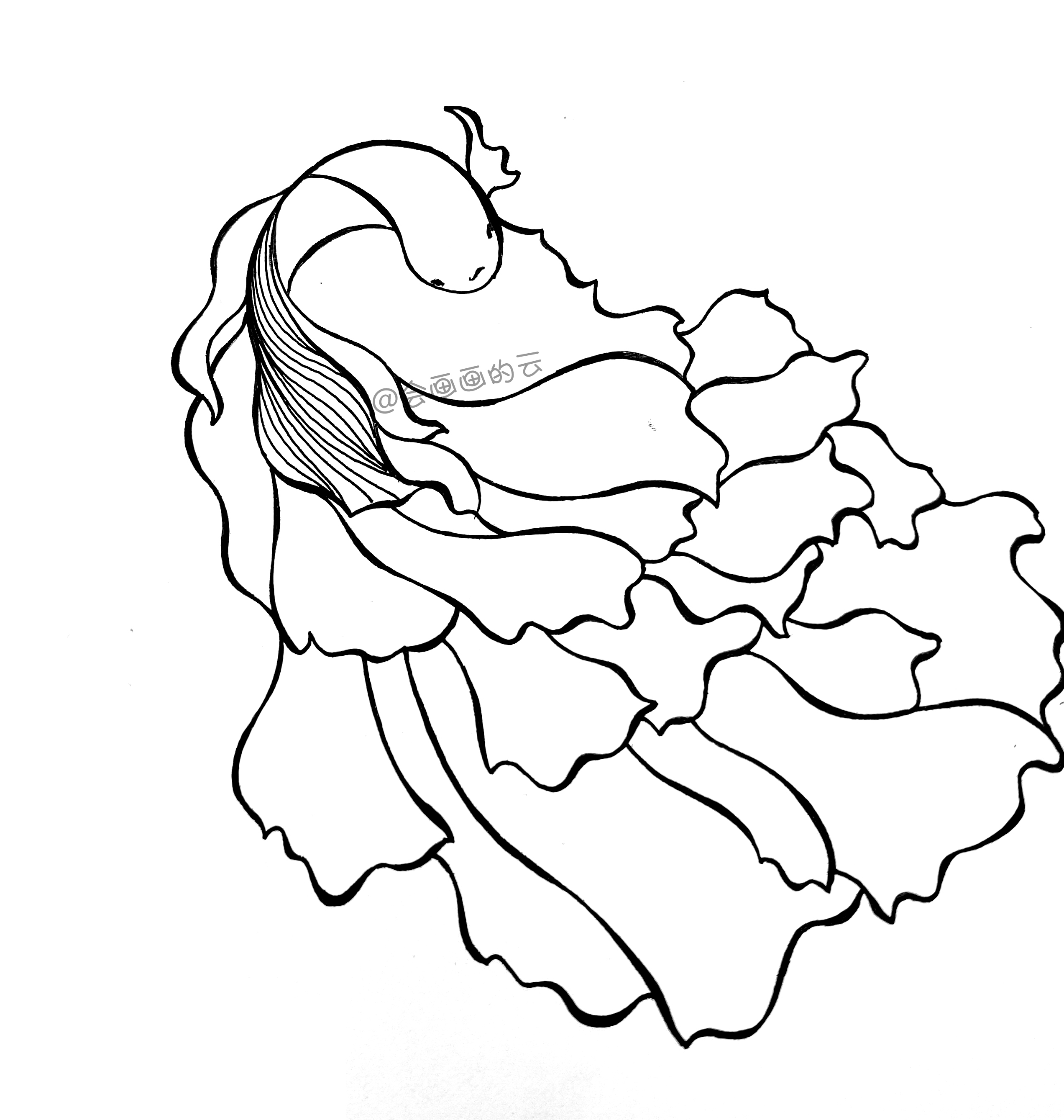 3款简笔画金鱼，零基础也可以画的线描画