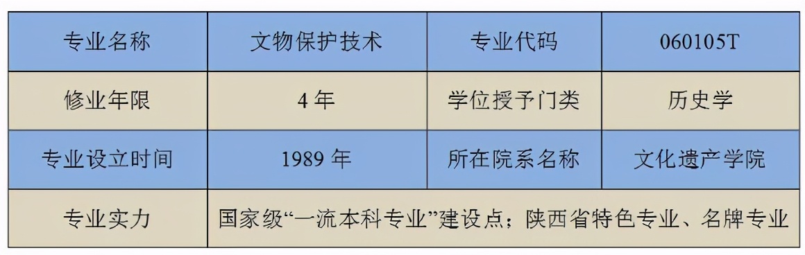 专业篇丨国家级“一流本科专业”建设点之文物保护技术