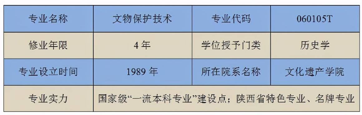 专业篇丨国家级“一流本科专业”建设点之文物保护技术