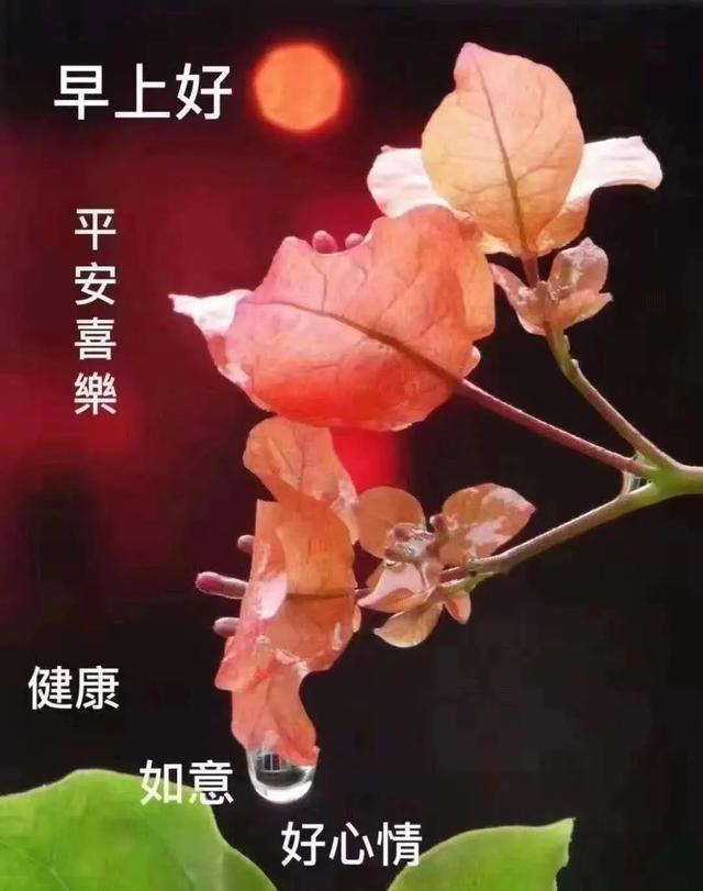 早上好最新图片表情大全