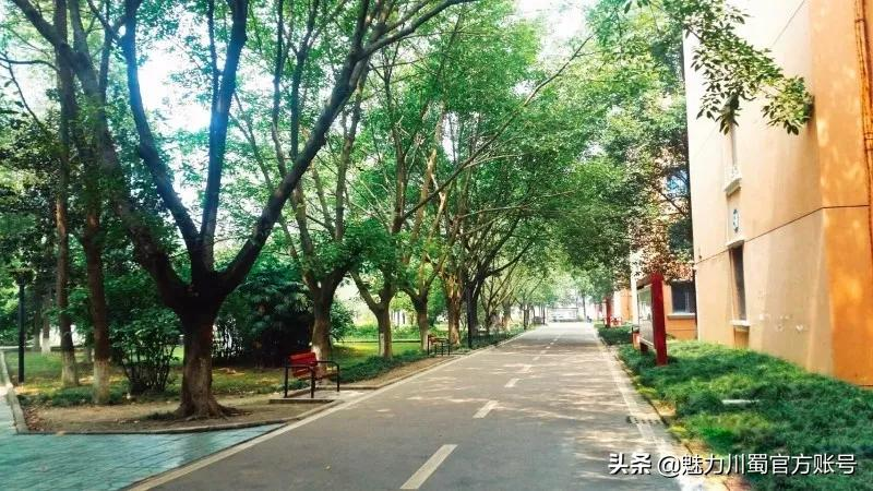 成都外国语学校：成外人，在清北！2021年，7个北大，17个清华