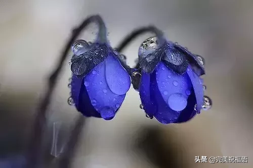 心宽,路自宽