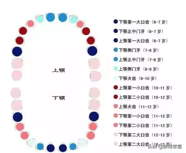 一千VS六万,治好孩子的满口坏牙到底要花多少钱?
