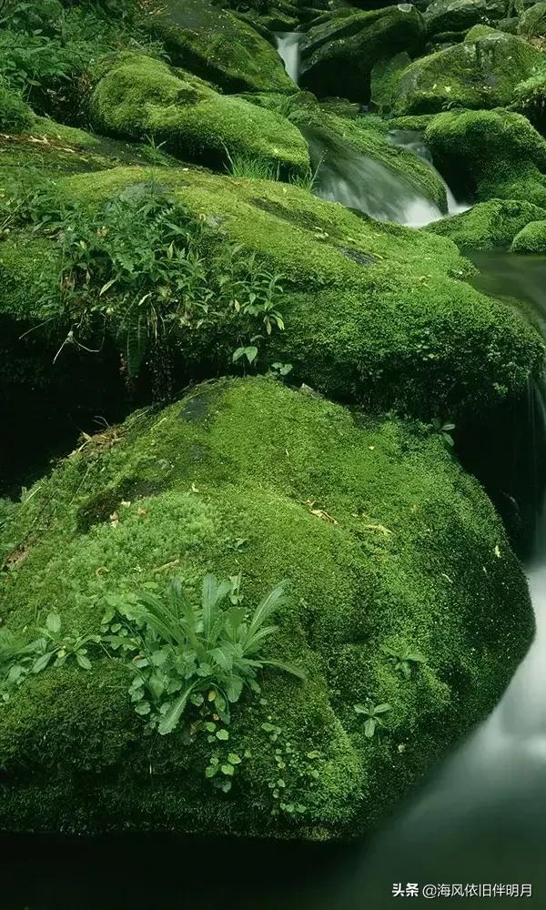 唯美自然山水风景图库