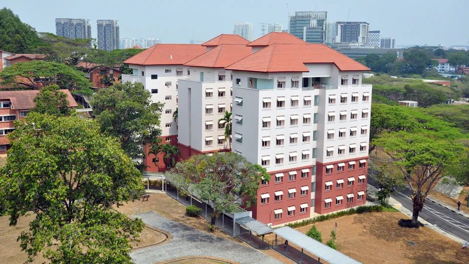 在新加坡国立大学就读一年“惊喜”和“后悔”一样多