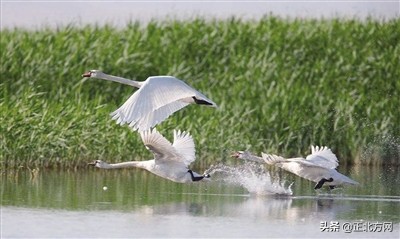 5月1日·内蒙古要闻及抗击新冠肺炎快报