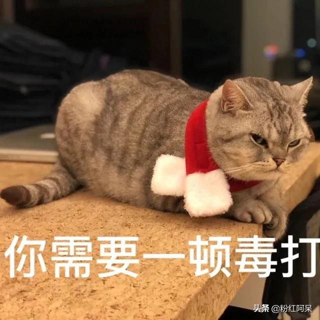 生气啦表情包