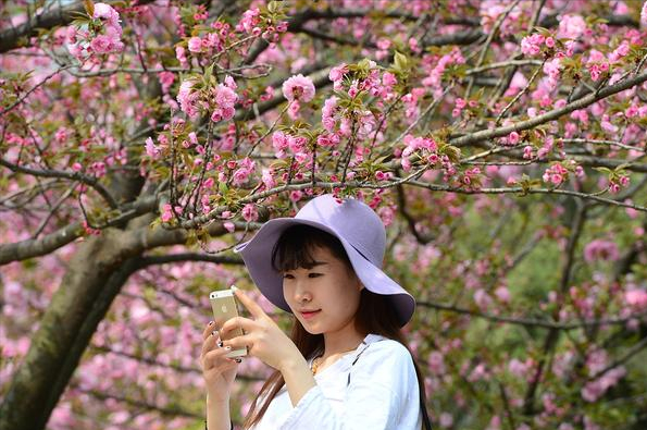 最新高校排名，中科大成功夺冠，天大第二，东北大学无缘前五