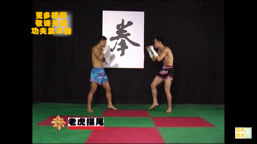 动画教学17招古泰拳必杀技，招招凶狠，练熟了就是你的自卫绝招