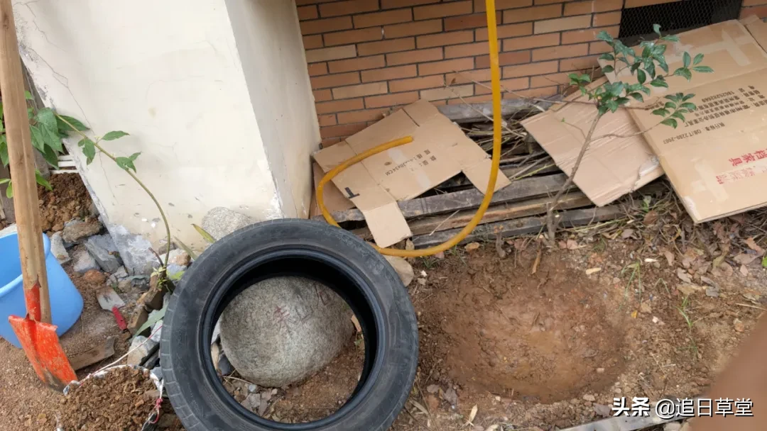 武汉樱花潭畔DIY地下鱼缸装修实录