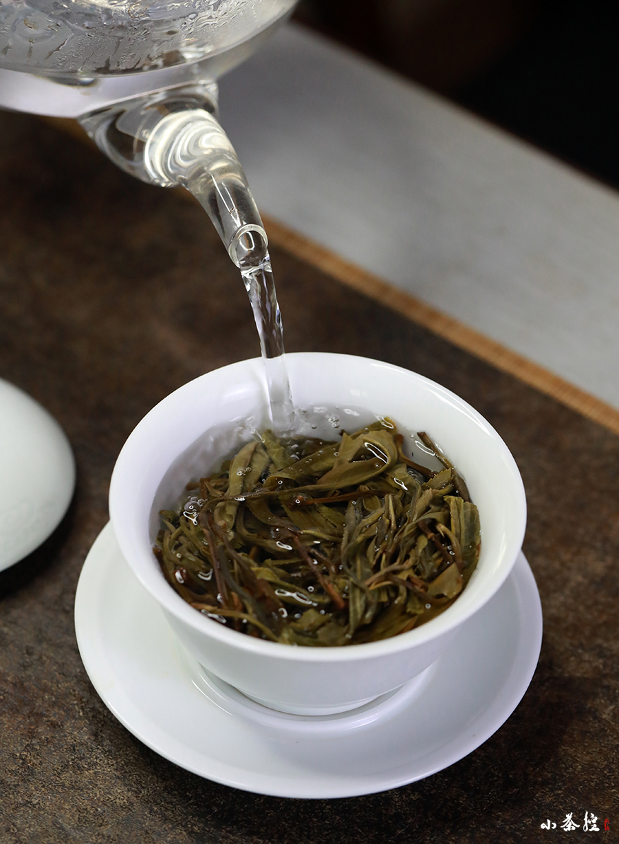 「独一无二」的古树纯料：单株~ 品尝普洱茶的“纯粹”