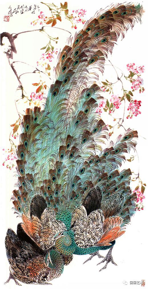 孔雀东南飞！高贵、冷艳的白孔雀