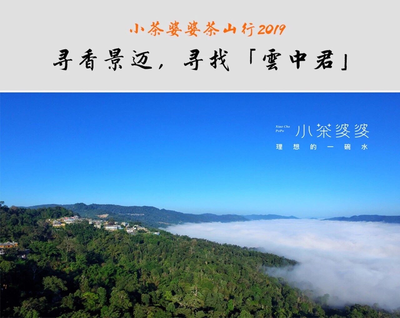 寻香景迈 | 景迈山是云南最美的茶山，云海养心，姑娘养眼
