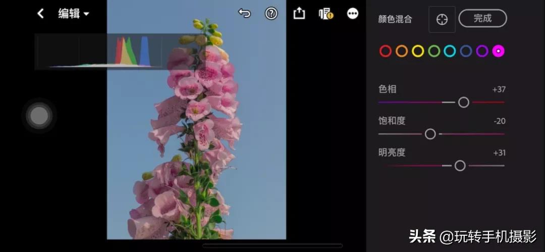 拍花后期！调色用对了，就很有春天的感觉