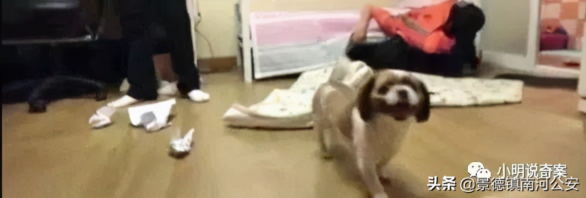 韩国女大学生聚餐后离奇失踪，电脑记录遭蹊跷改动，案件细思极恐