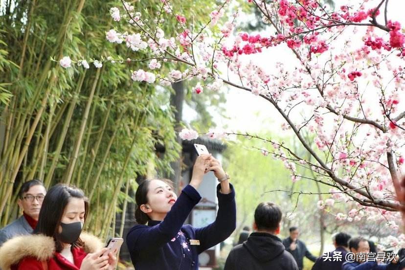 烟花三月忆故园：黄鹤楼下思乡情