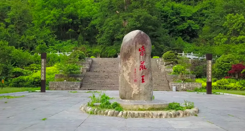 贵州“千年古树”紫薇：全球仅存一棵，高38米6人合抱，却怕痒痒