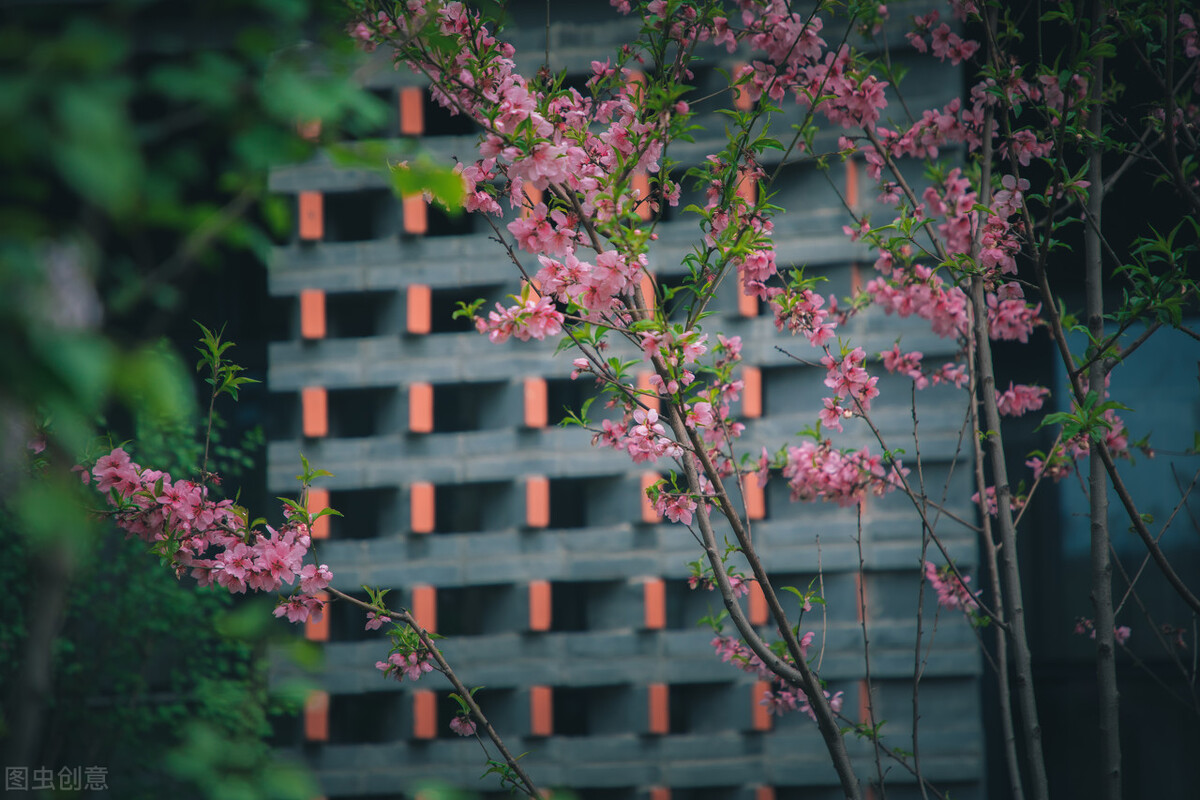 历经磨难，大器晚成，他是如何走上写作之路