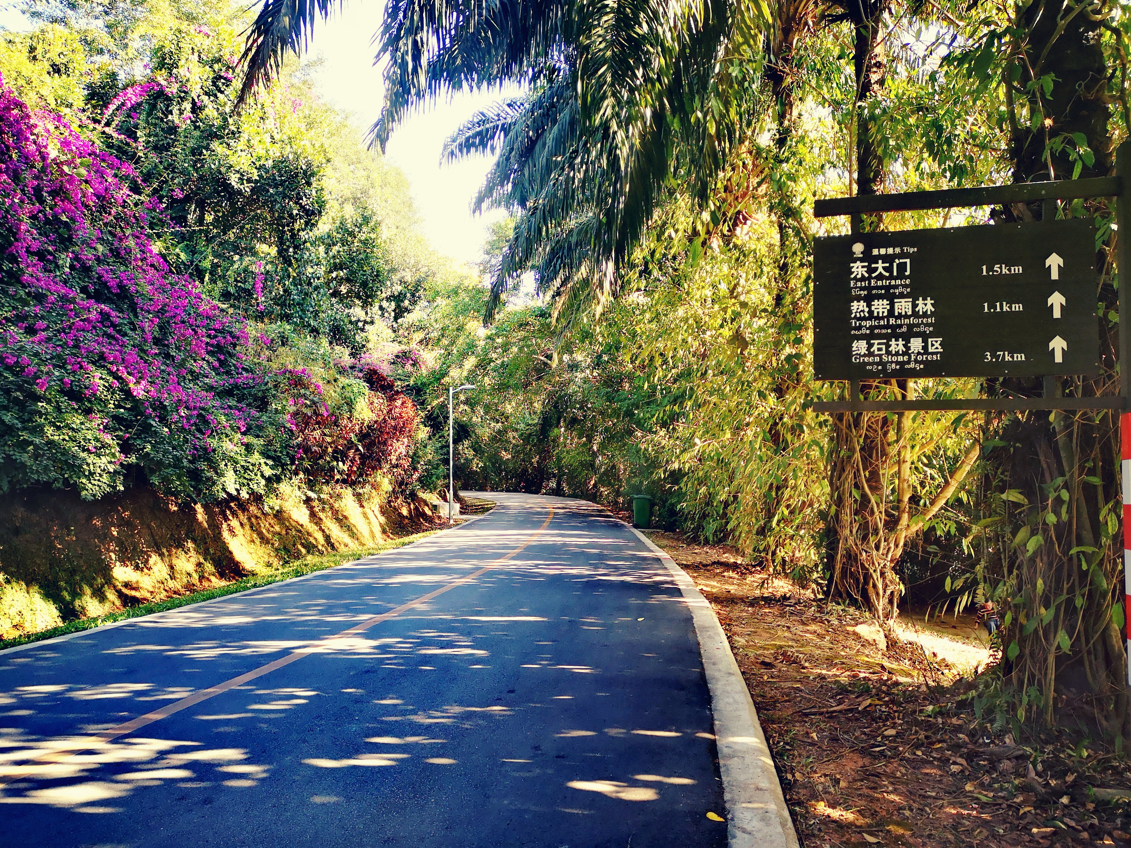 西双版纳8天9晚2600元，中科院热带植物园最详细攻略看这一篇就够