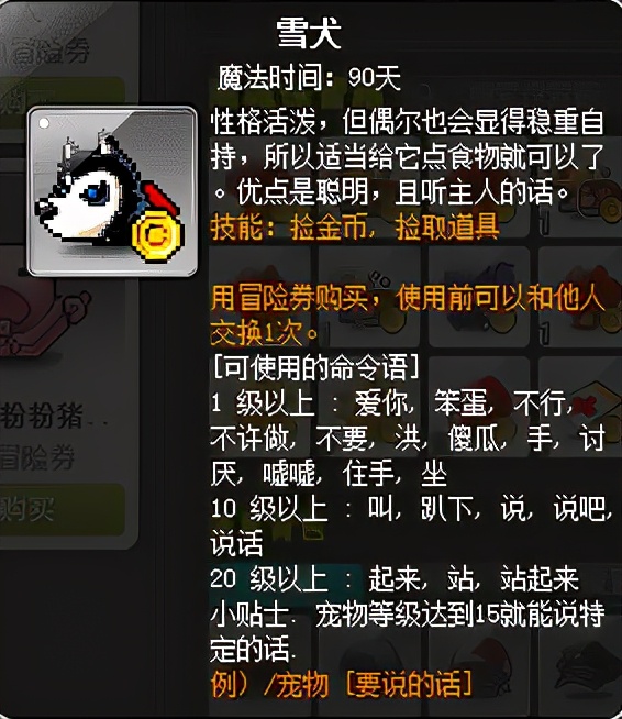 冒险岛宠物相关知识科普